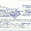 Заява аб прыняцці ў шэрагі  ДНД БЗВ. 1993.05.28